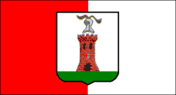 بارونيسي