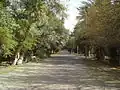 منظر لحديقة البايلك من الداخل.