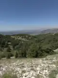 وجهة نظر في محمية الشوف الطبيعية
