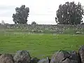 طبيعة