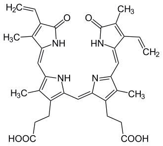 بيليفردين