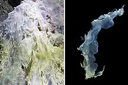 Biocostruzioni di solfobatteri