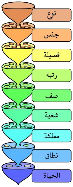 متسويات التصنيف الحيوي.