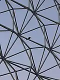 الإنشاء الفراغي للمبنى