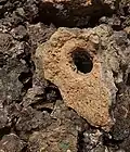 موقع ساروق الحديد الأثري
