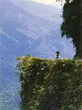 طريق يونغاس.