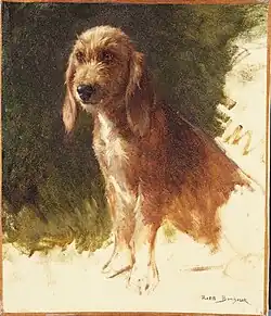 دراسة كلب Study of a Dog, possibly 1860s, متحف الفنون في جامعة برنستون&nbsp;&nbsp;[لغات أخرى]‏