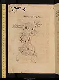 كوكب العواء