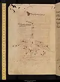 كوكب الدجاجة