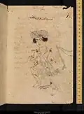 كوكب ممسك الأعنة