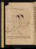 كوكب الجوزاء