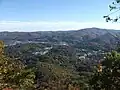 مدينة بون