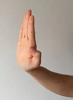 قبضة بوذا