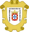 First coat of arms