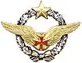 سلاح الجو المريض الطيار