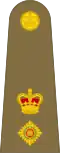 Lieutenant-colonel