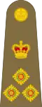 Brigadier