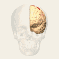 صورة متحركة.