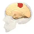 منظر أنسي.