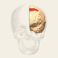 صورة متحركة.