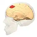 منظر أنسي.