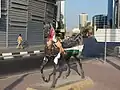 بر دبي