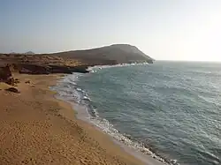 ضوء الليل