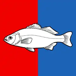 نيون (مدينة)