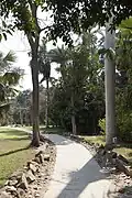 الحديقة