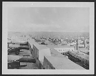 القاهرة - بانوراما من القلعة ، 1895