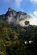 متنزه ماروجيجي الوطني
