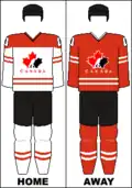 2008-2014 ، 2016 قمصان IIHF
