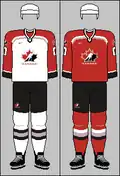 1998 قمصان أولمبية ، استخدمت لاحقًا في بطولات IIHF 1998-2001