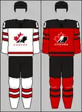 2017 حتى الوقت الحاضر قمصان IIHF
