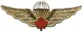 Canadian Jump Wings