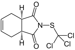 كابتان