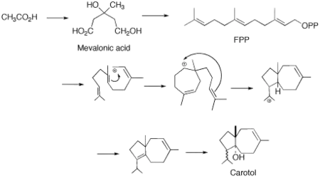 تحلق FPP إلى الكاروتول.