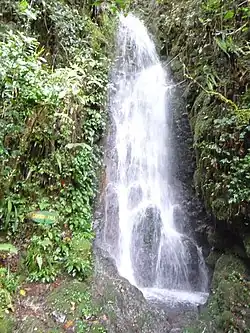 Carson Falls on Mount Kinabalu, Borneo