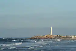 العنق