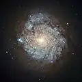 NGC 278
