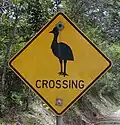 Australia, cassowary crossing.