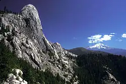 A cliff of gray serrated rock, on the left, towers above a pine forest before the distant form of a snowcapped mountain.