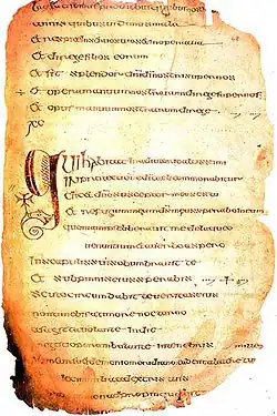 Text from the Cathach of St. Columba