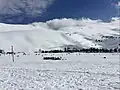 محمية أرز الشوف بالشتاء