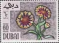 سلطان حلو&nbsp;[الإنجليزية](Centaurea moschata)