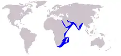 موطن الدلفين السنامي الهندي