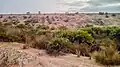 دوم متوسطي بجماعة بوزنيقة بالمغرب.