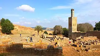 أطلال شالة مع الـمئذنة المرينية.