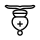 d4 B l