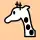 d1 white giraffe
